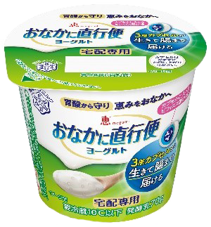 恵 megumi おなかに直行便ヨーグルト